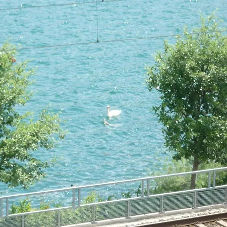 Lake View & Zell City * צל-אם-זי
